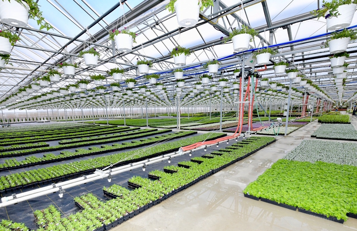 controlled environment agriculture